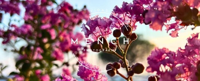mench_photography