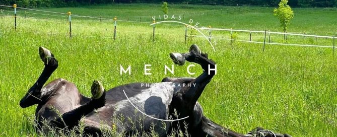 mench_photography