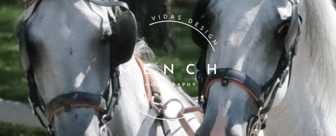 mench_photography
