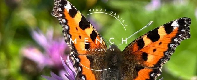 mench_photography