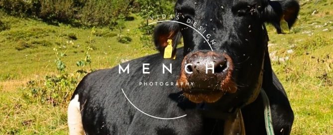 mench_photography