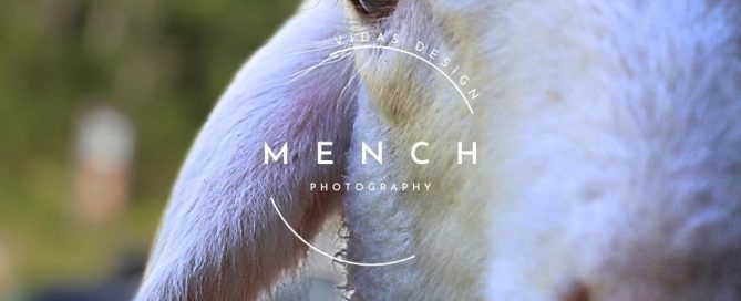 mench_photography