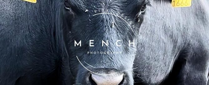 mench_photography
