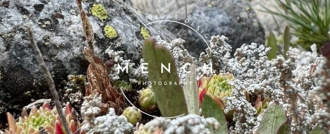 mench_photography