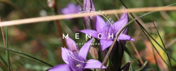 mench_photography