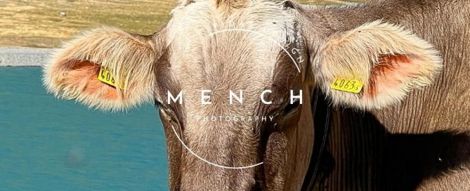 mench_photography