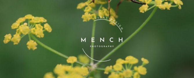 mench_photography