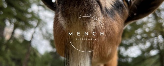 mench_photography