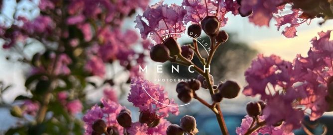mench_photography