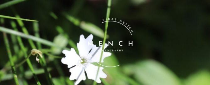 mench_photography