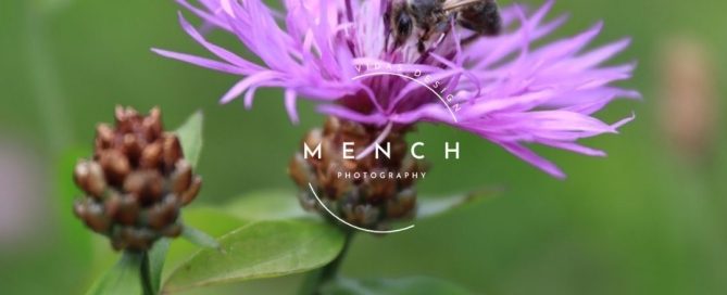 mench_photography