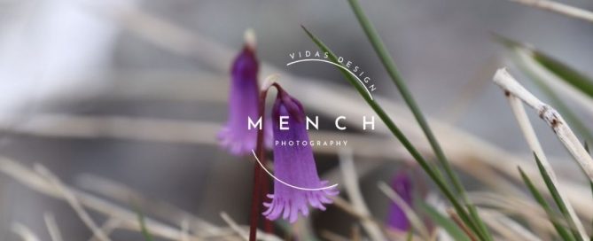 mench_photography