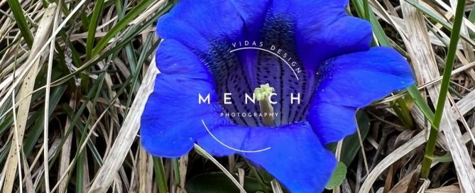 mench_photography