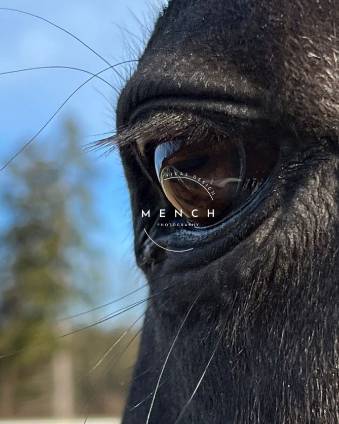 mench_photography