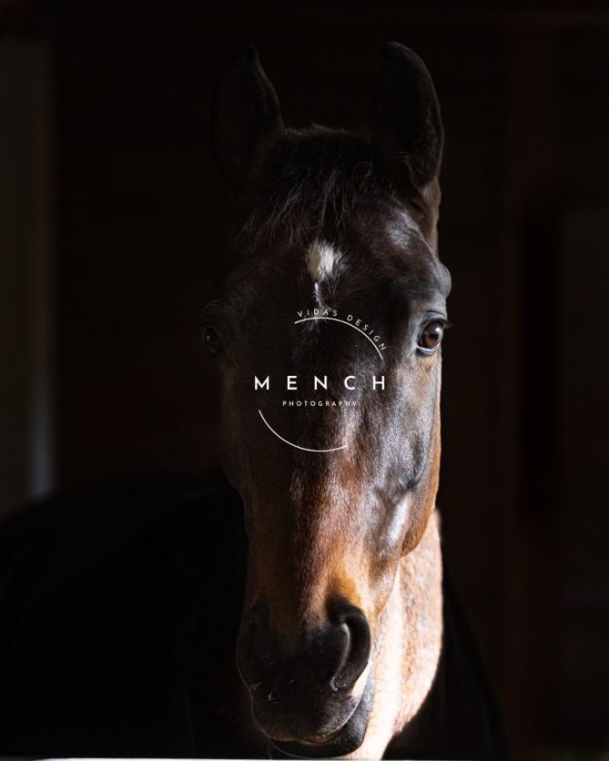 mench_photography