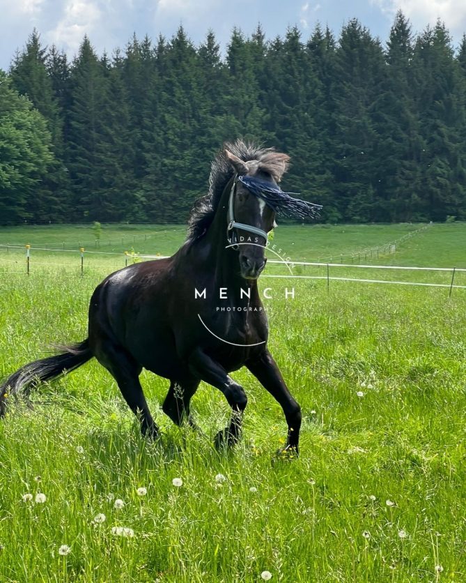 mench_photography