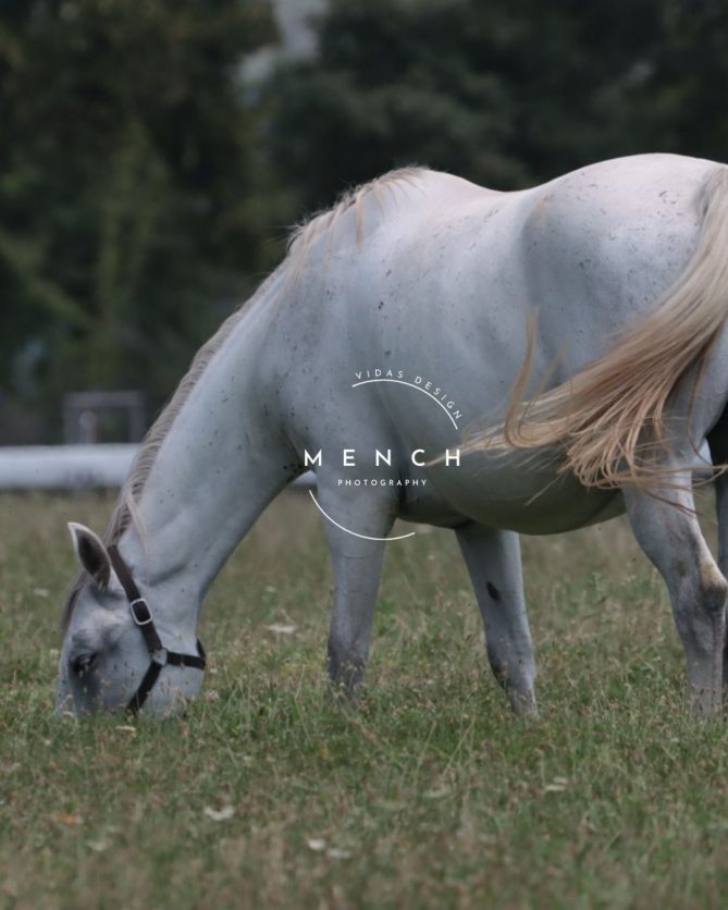mench_photography