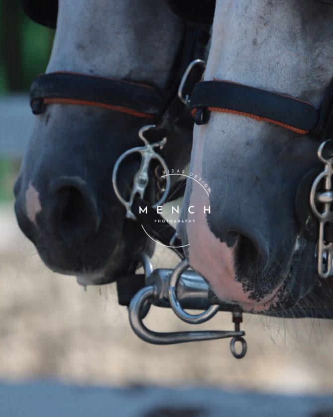 mench_photography