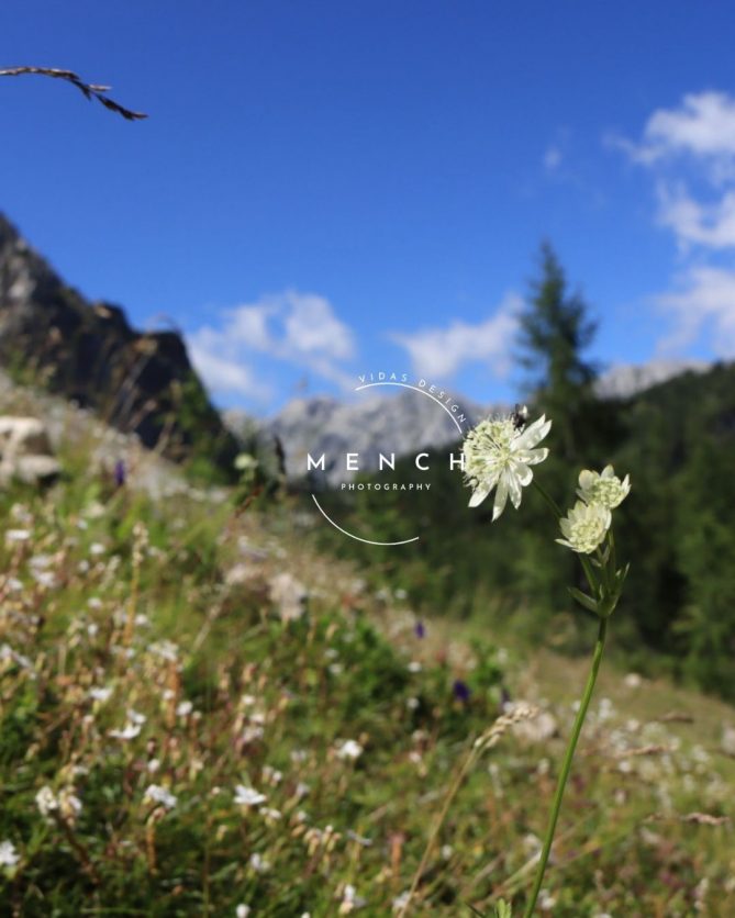 mench_photography