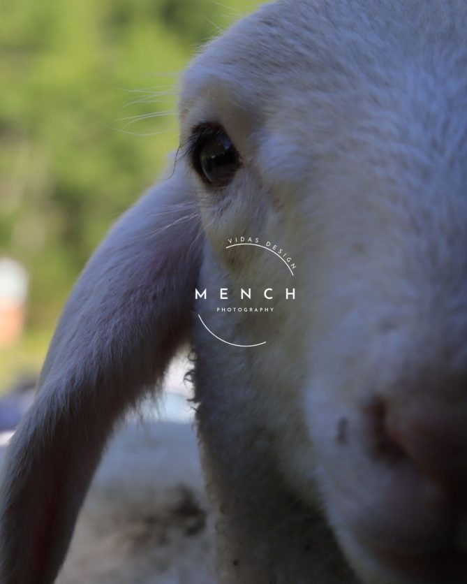 mench_photography