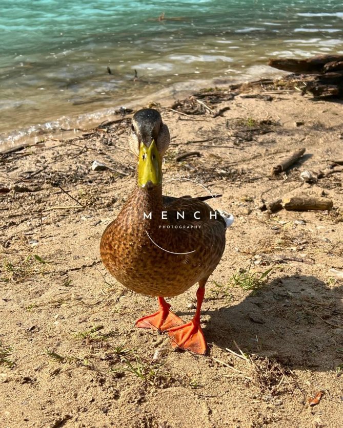 mench_photography