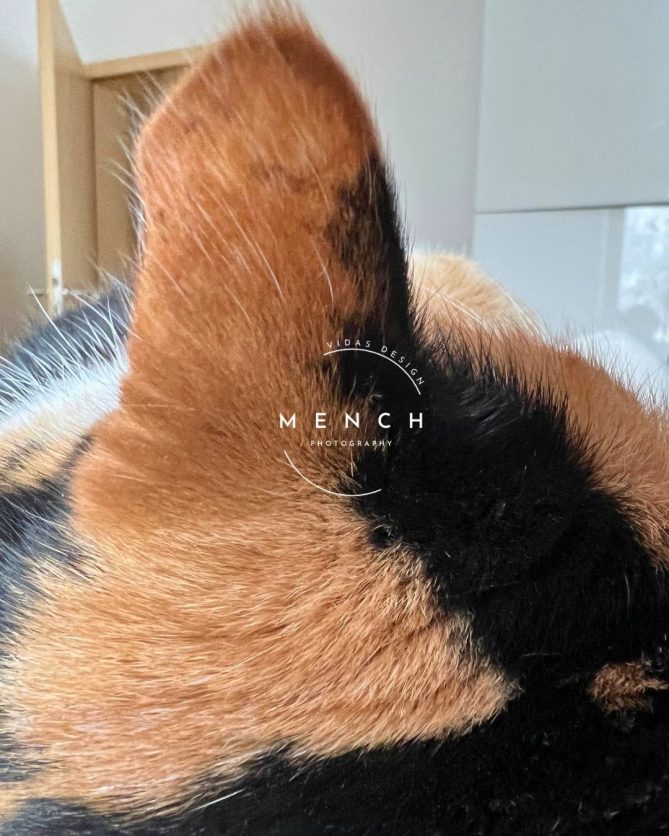 mench_photography