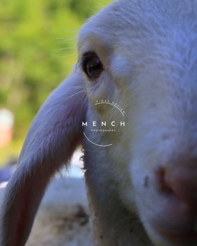 mench_photography